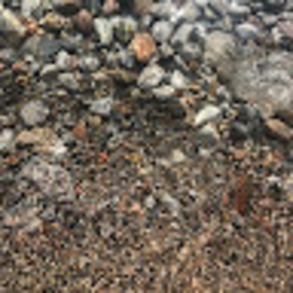 Meet your Posher, Ethan - Picture 1 of 1